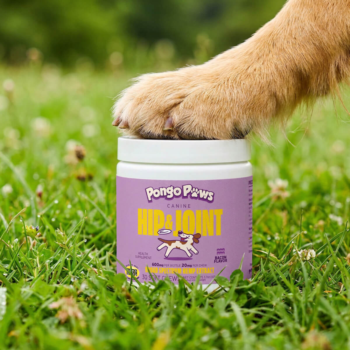Dog Hip + Joint Chews