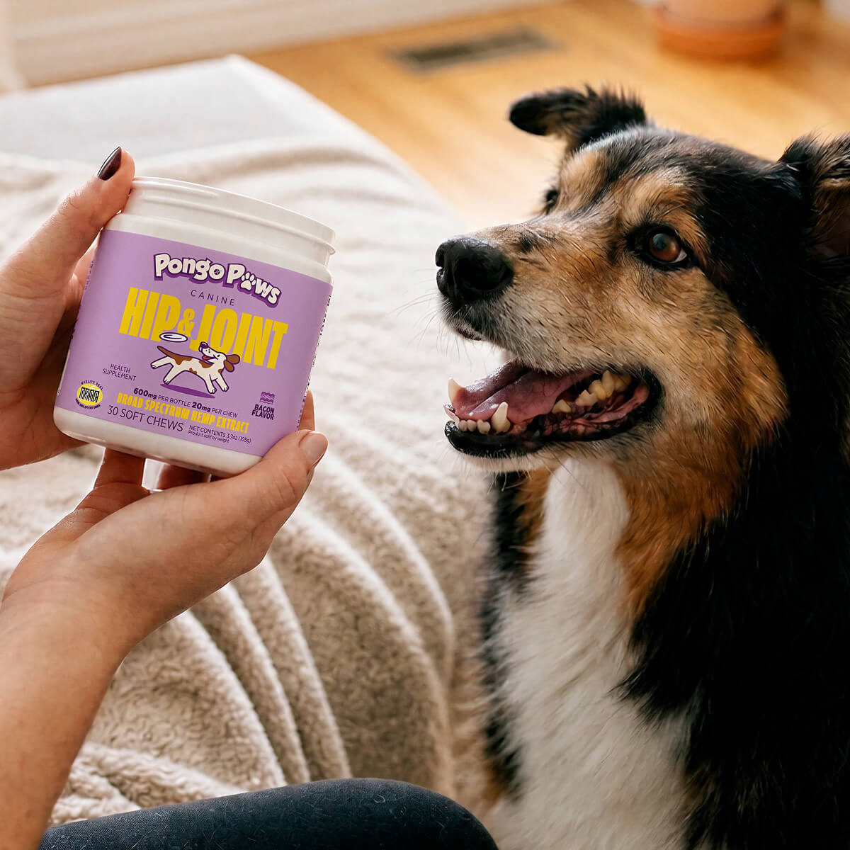 Dog Hip + Joint Chews